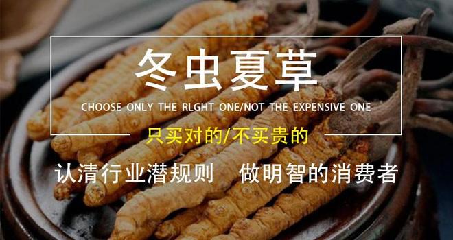 冬虫夏草最好三个品牌：对比各品牌的含量和口碑锁定最佳选择(图2)
