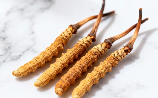 冬虫夏草最好三个品牌：对比各品牌的含量和口碑锁定最佳选择(图1)