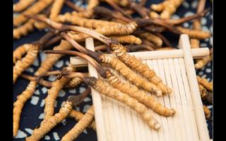 特色产业成就“灯塔味道”(图1)