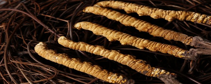 太平财险深圳分公司以保险保障为湾区发展蓄能增势(图1)