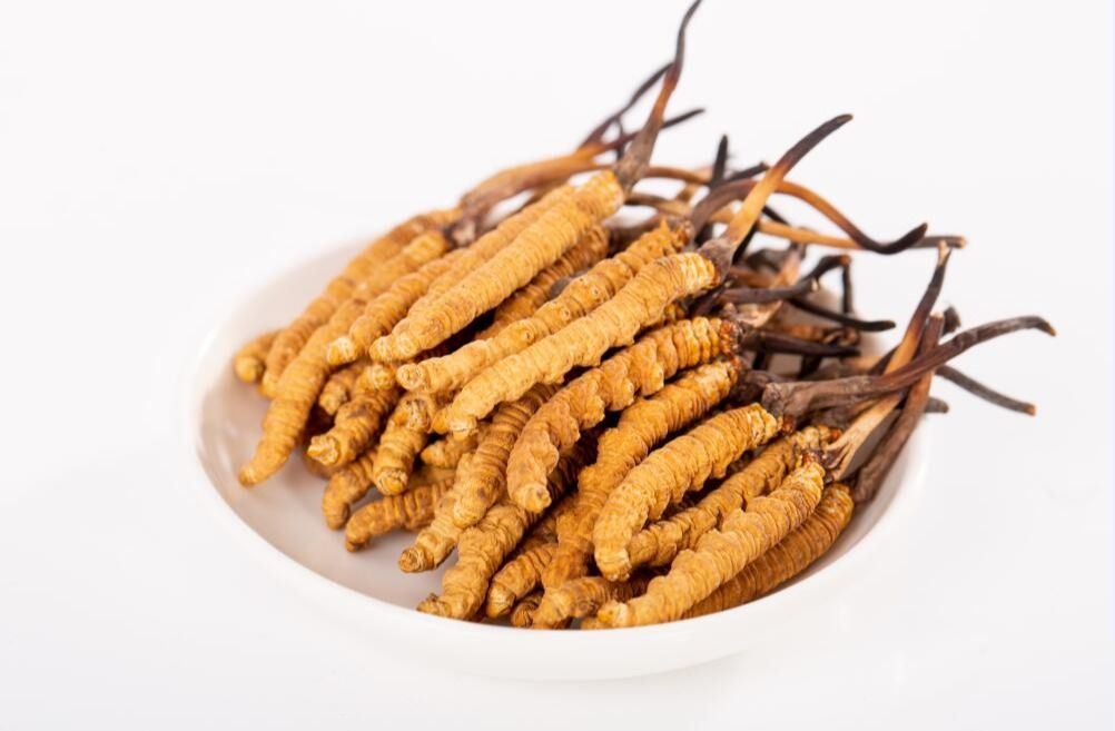 沃野绘新景乡村谱华章(图1)