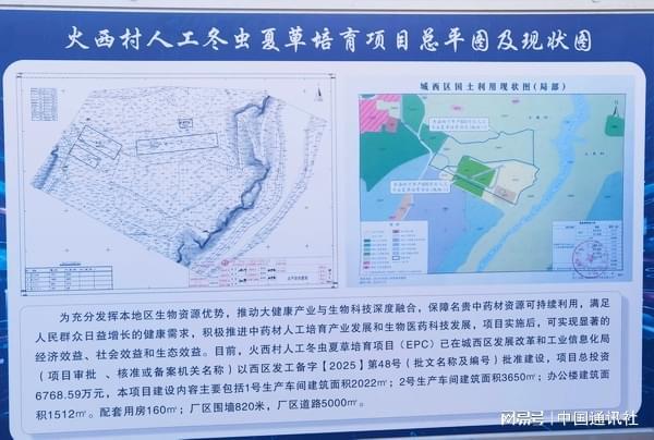 数智赋能高原“黄金草”青海数疗智能科技冬虫夏草培育项目在西宁城西区开工(图4)