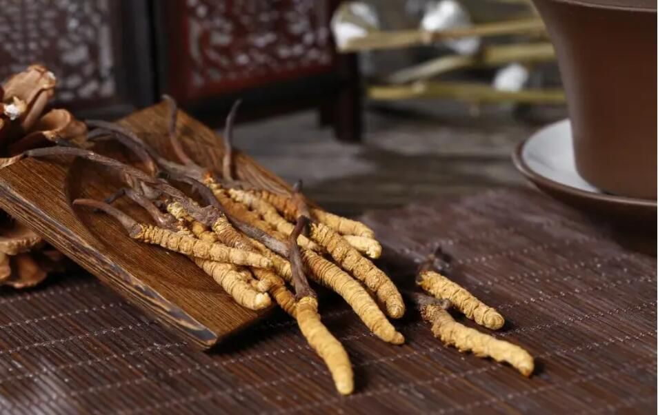 冬虫夏草哪个牌子最正宗？十大热门口碑品牌滋阴补养体验解析(图1)