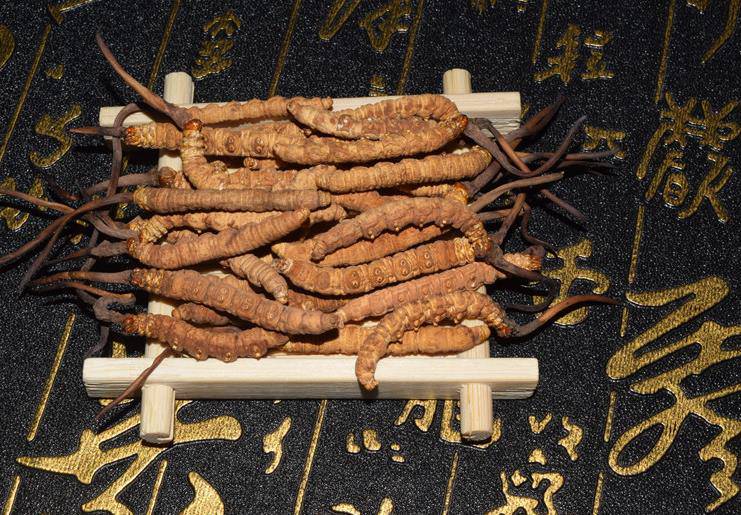 权威盘点2025灵芝孢子粉前十品牌效果实测榜首毫无悬念(图1)