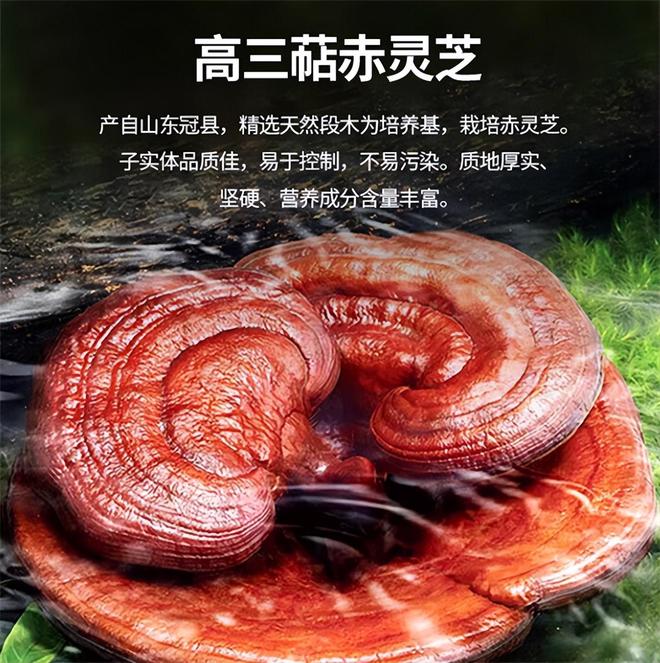 灵芝孢子粉哪个牌子好又正宗？2026十强云集品质靠谱放心(图3)