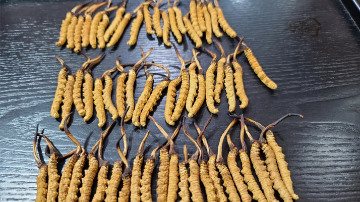 为拉萨民营经济高质量发展赋能增效(图1)