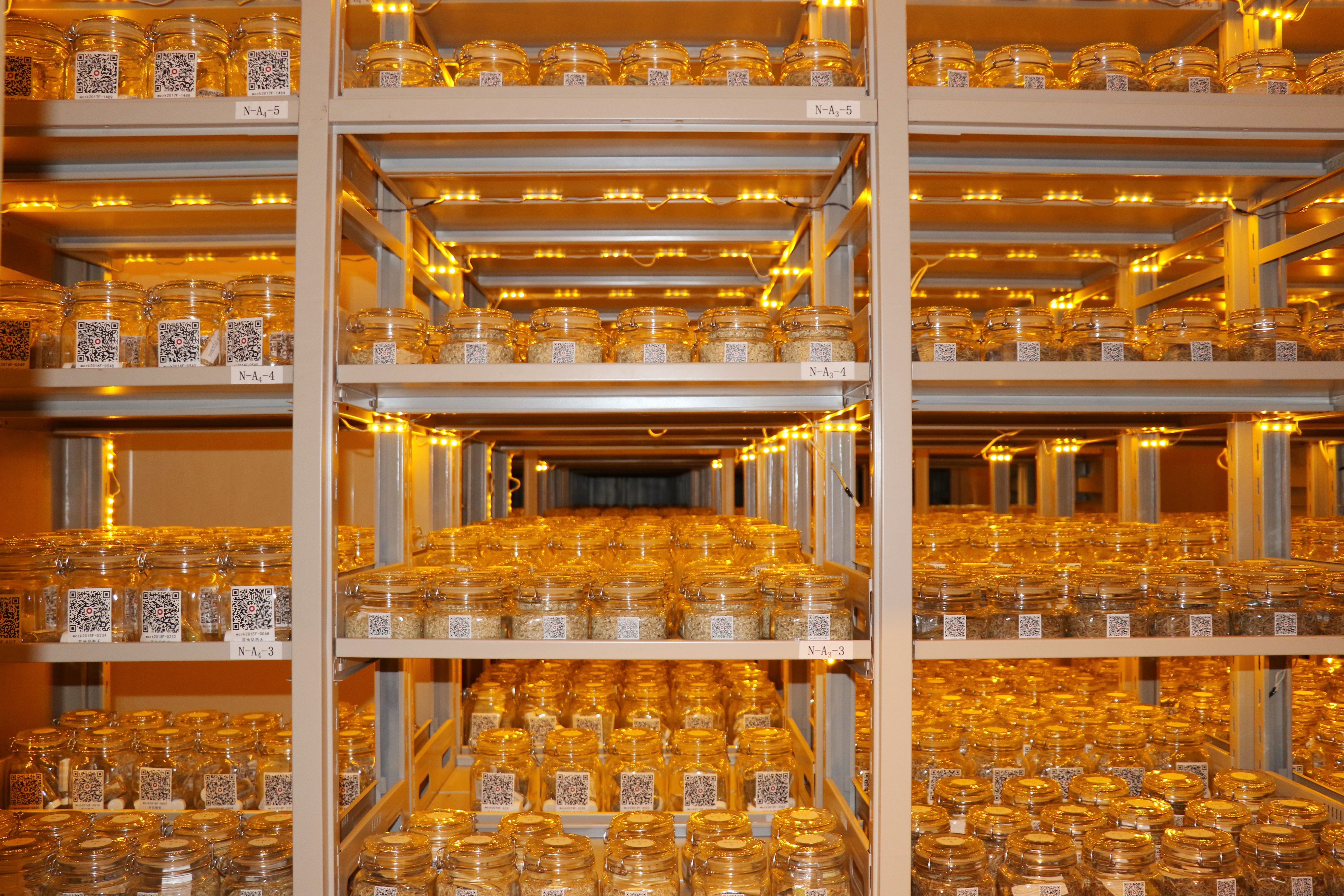 生态产业规划前置蒙草生态创新草种科技助力长效防沙治沙(图2)