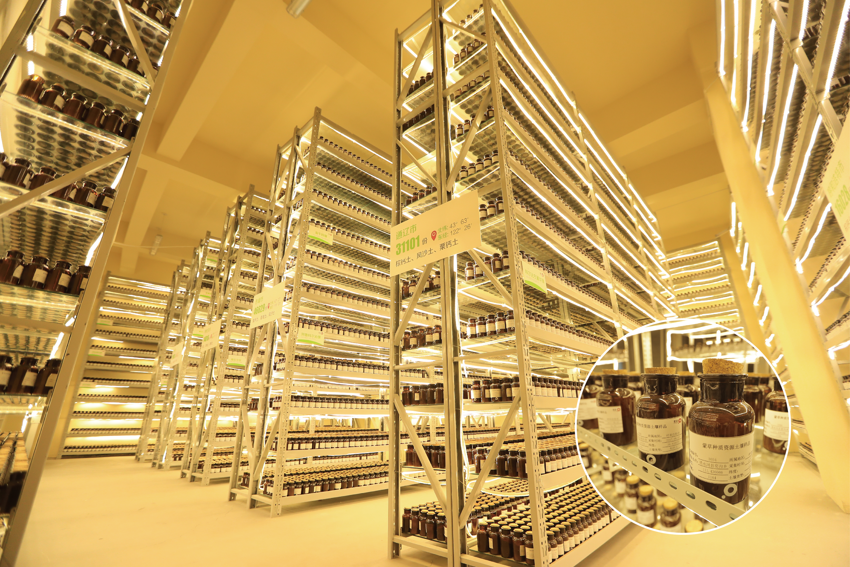 生态产业规划前置蒙草生态创新草种科技助力长效防沙治沙(图3)