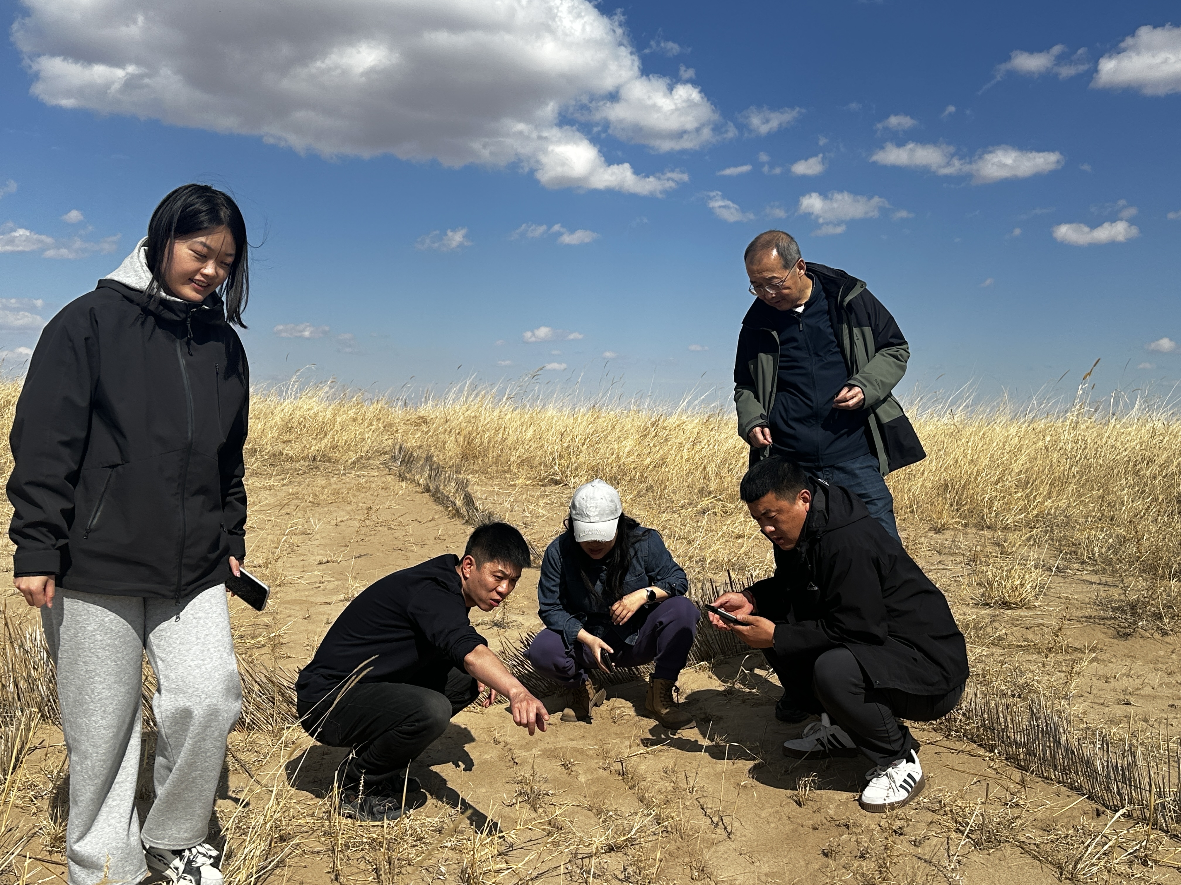 生态产业规划前置蒙草生态创新草种科技助力长效防沙治沙(图4)