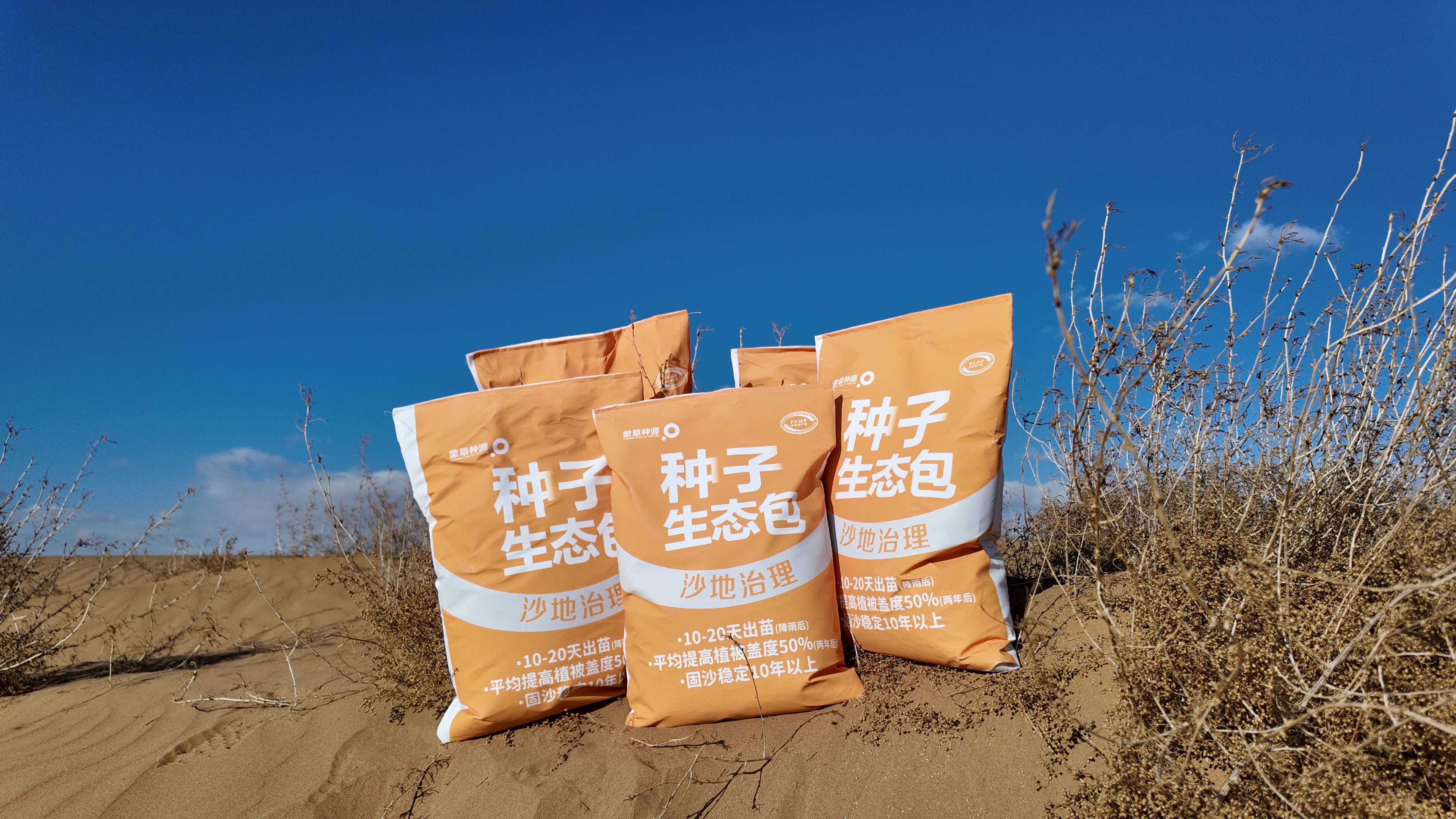 生态产业规划前置蒙草生态创新草种科技助力长效防沙治沙(图6)