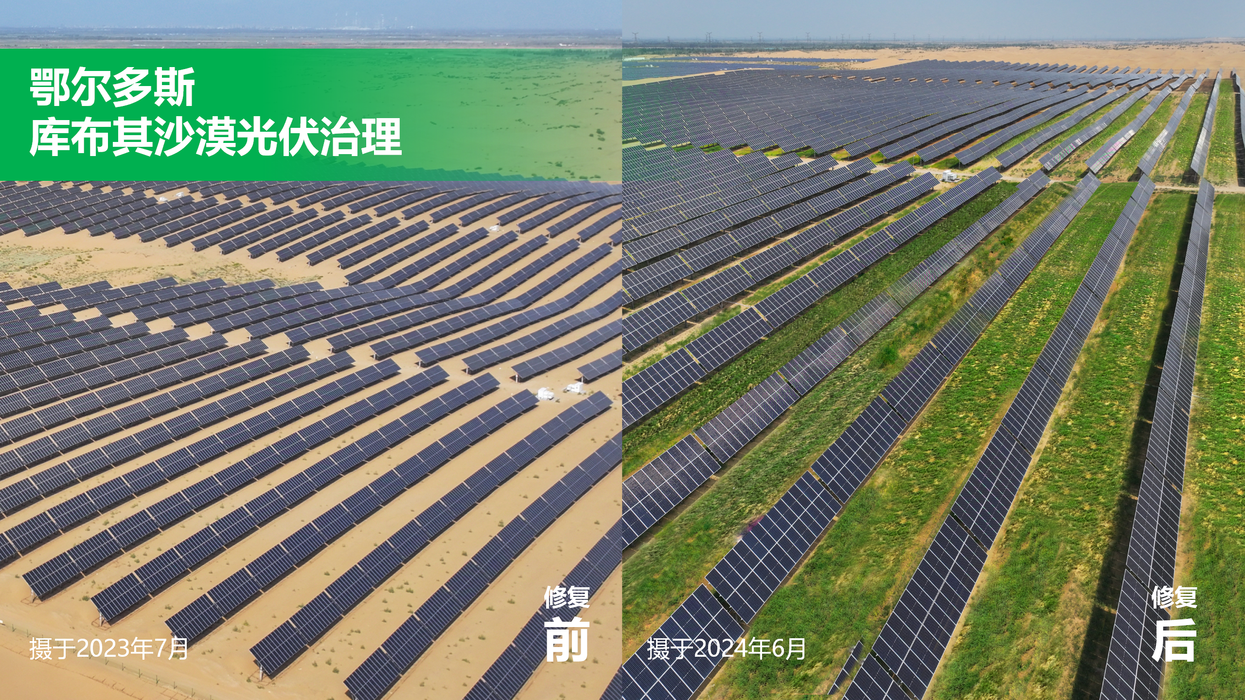 生态产业规划前置蒙草生态创新草种科技助力长效防沙治沙(图10)