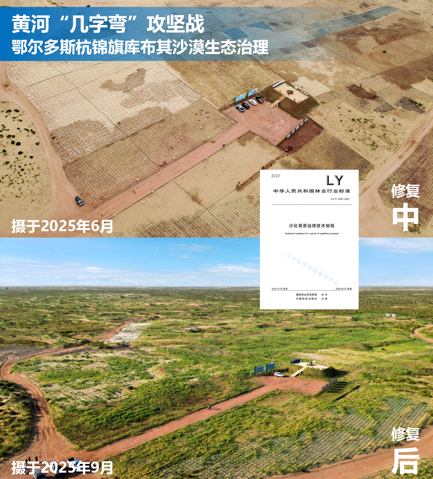 生态产业规划前置蒙草生态创新草种科技助力长效防沙治沙(图11)