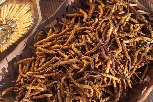 深化科学绿化、筑牢生态屏障！横山区以林草高质量发展赋能区域振兴(图1)