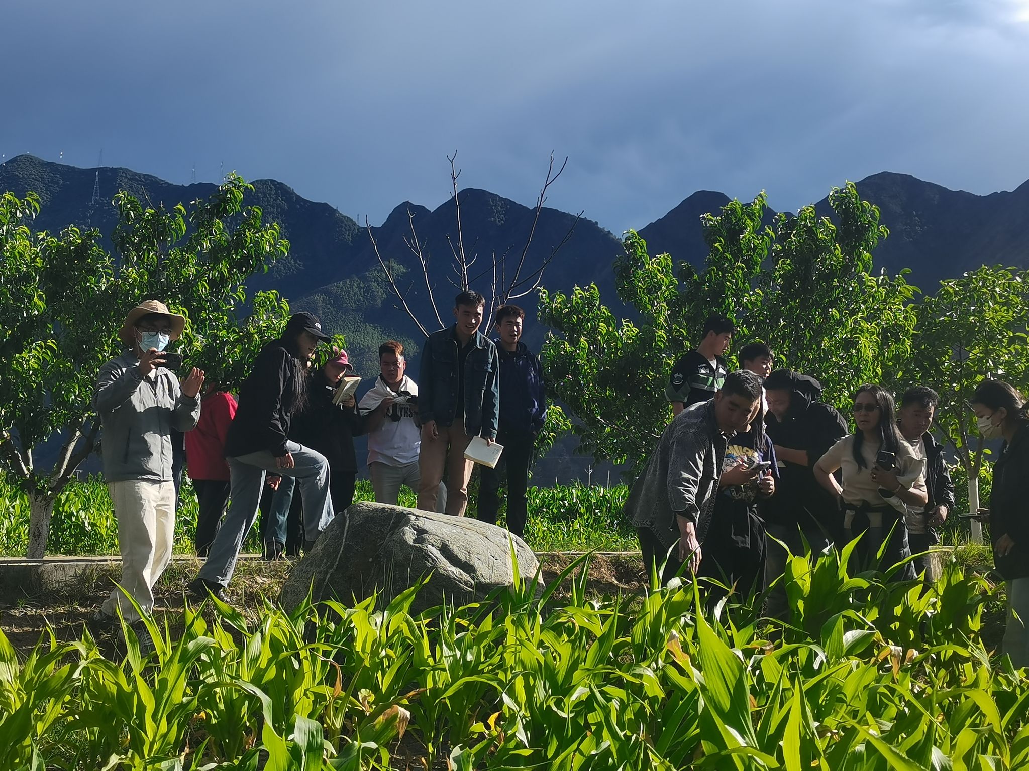 全球推介背后的春华田野革新(图1)