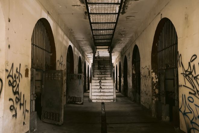 新山薅羊毛！2026免费穿梭巴士景点不用打车(图19)