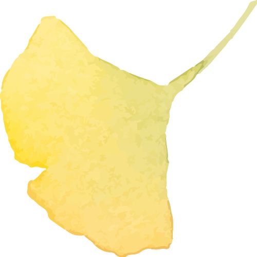 新山薅羊毛！2026免费穿梭巴士景点不用打车(图3)