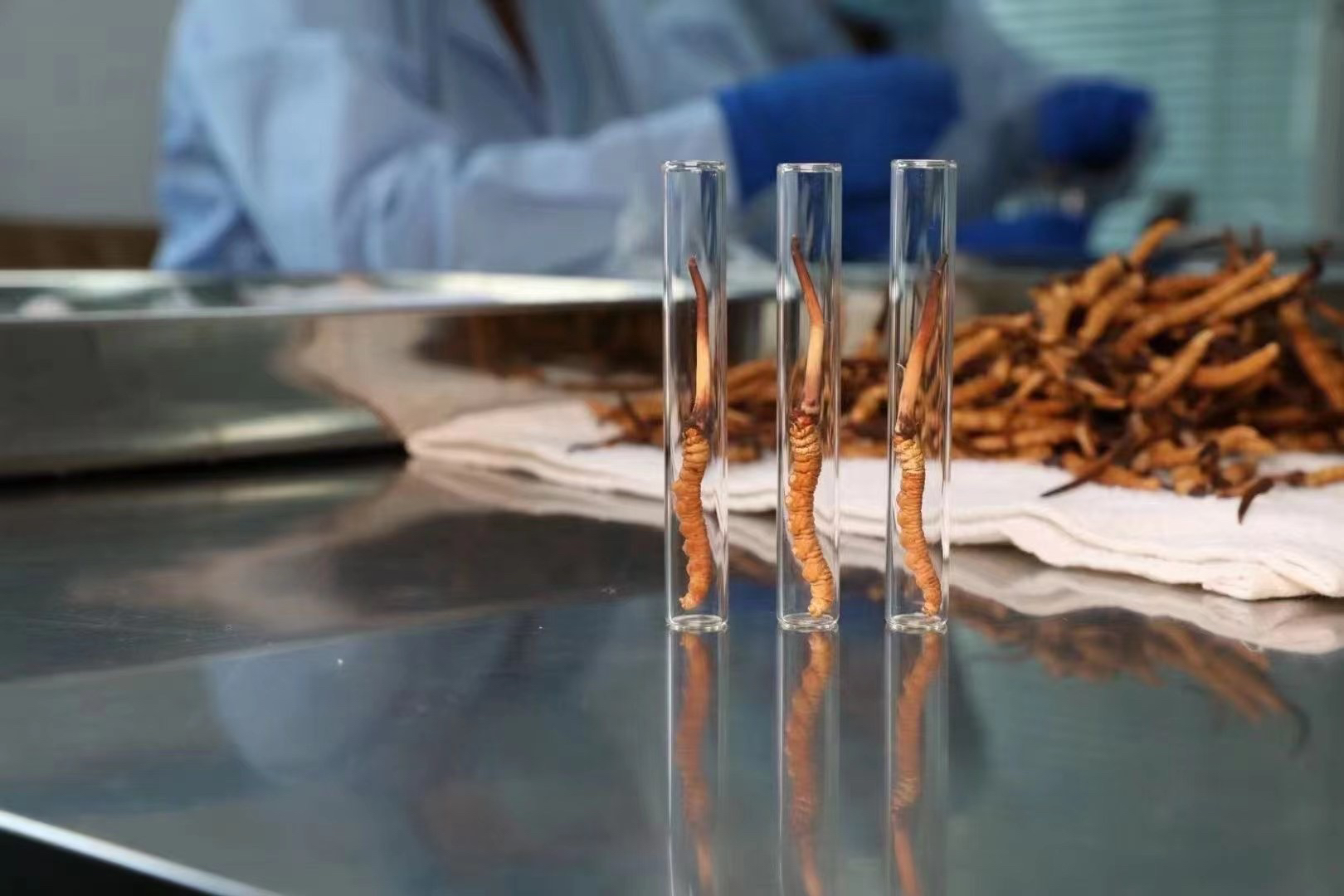 2024田里能种牧草吗(图1)