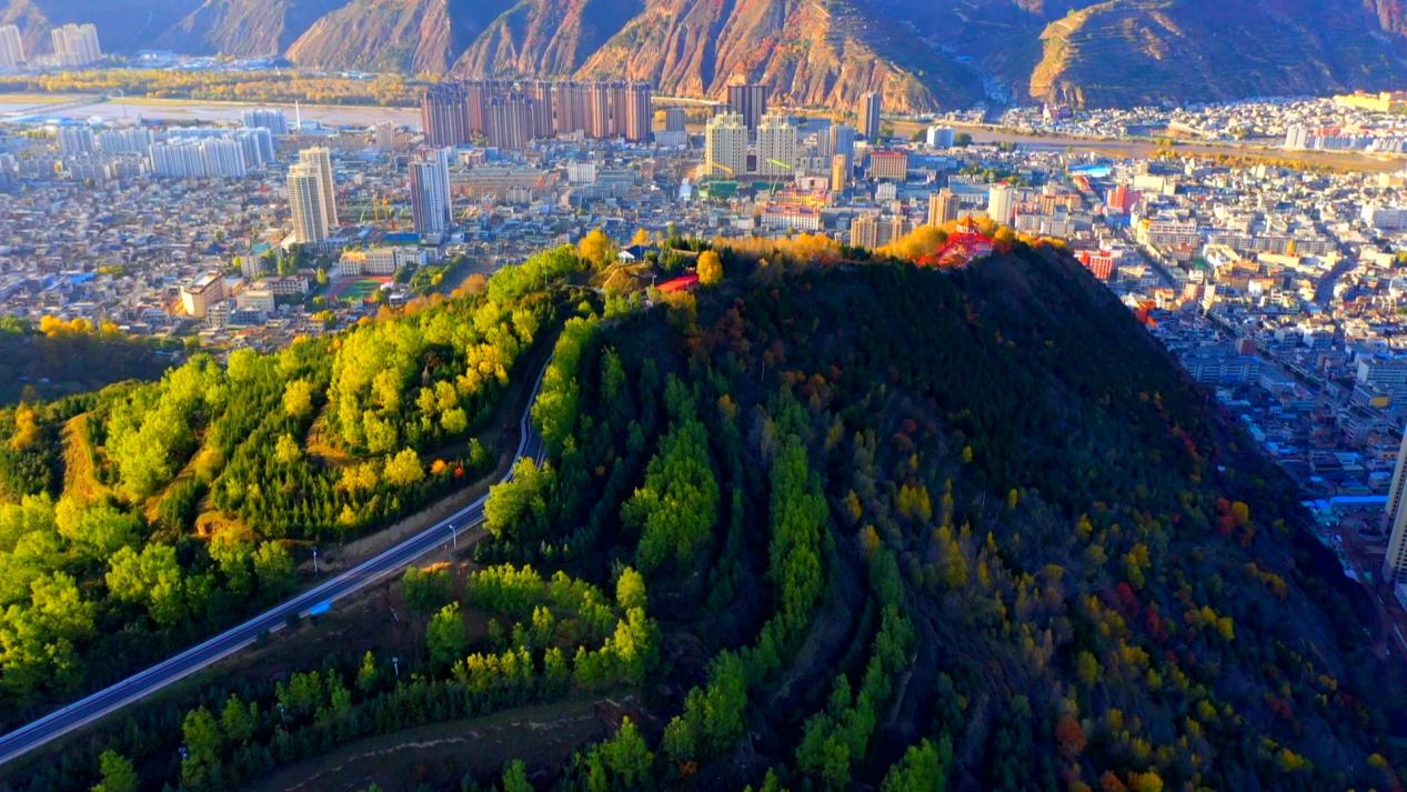 甘肃岷县“十四五”林草事业高质量发展纪实(图1)