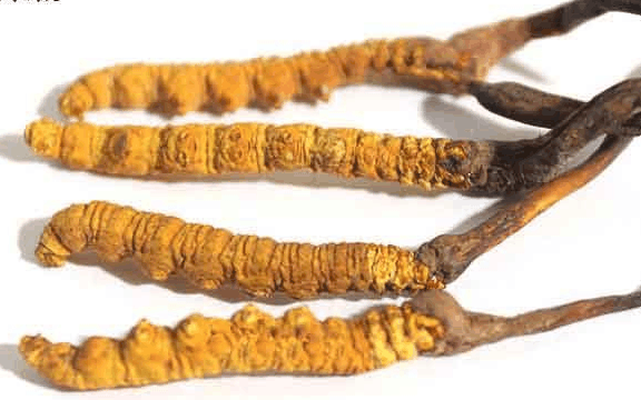 科技专题【雷峰网】(图1)