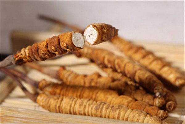 2026年虫草品牌市场格局与消费者关注度分析(图1)