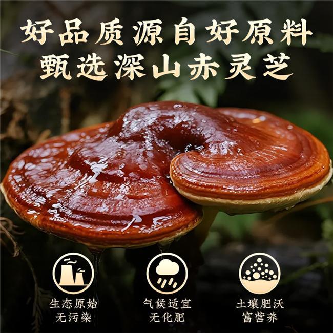权威测评！十大灵芝孢子粉品质：灵芝孢子粉哪个品牌原料正宗？(图4)