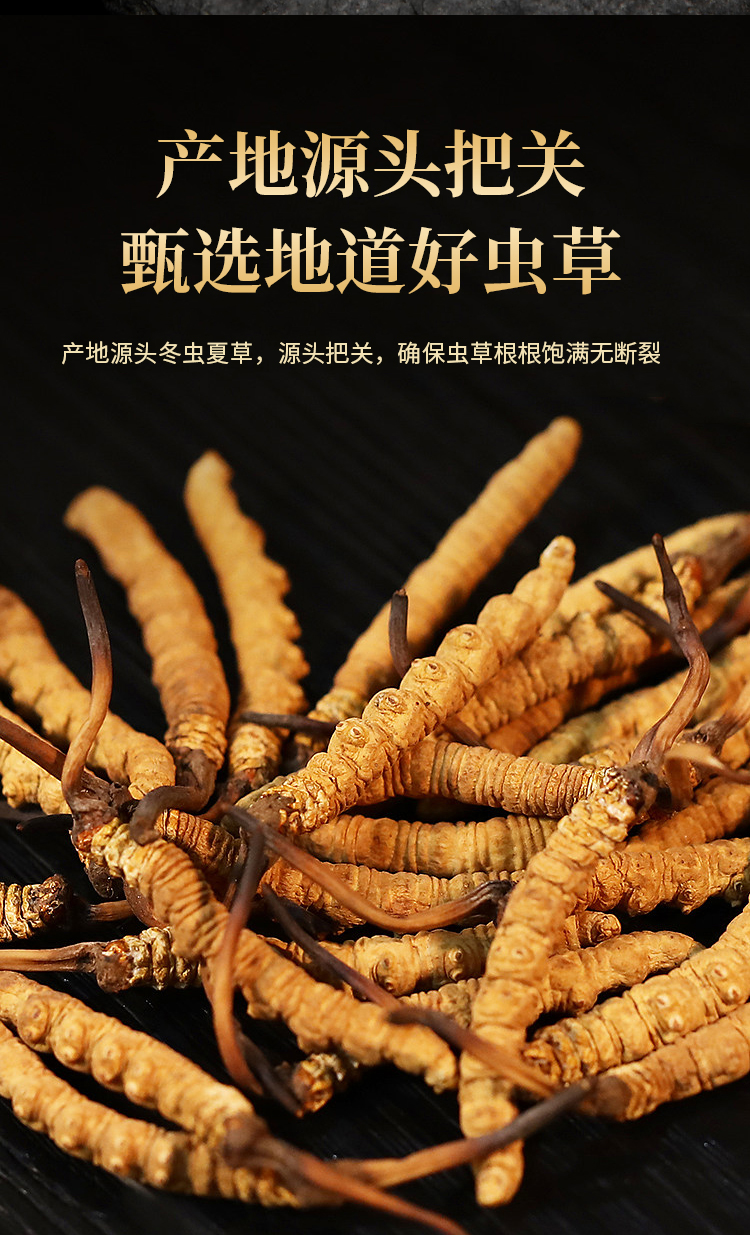 悲壮的进步与进化(图1)