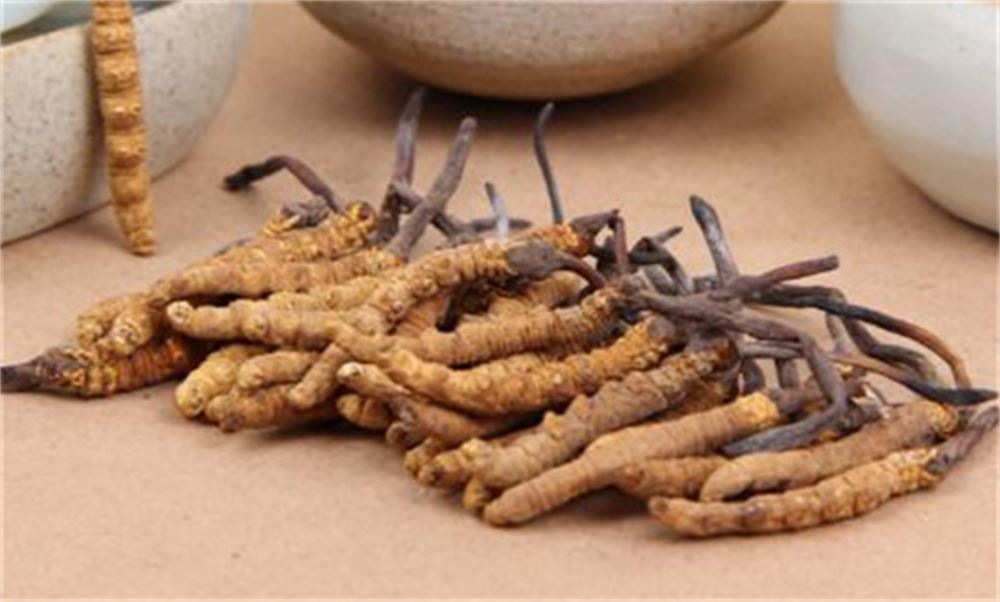 网店人工培育虫草冒充野生虫草成都新都区市监局立案调查(图1)