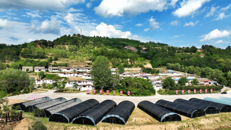 聚焦直播欺诈、未成年人消费……中消协发布典型案例(图1)