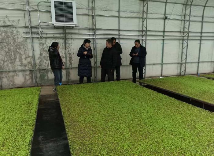 抢抓农时强储备夯实基础保春耕(图1)