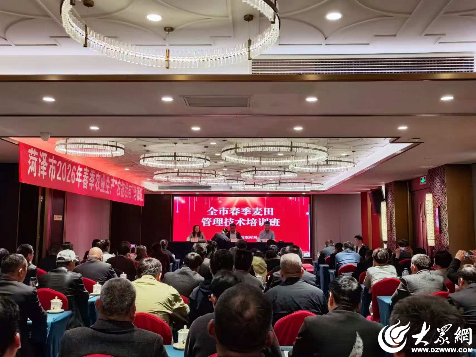 菏泽市春季麦田管理技术培训班成功举办_菏泽新闻_大众网(图1)