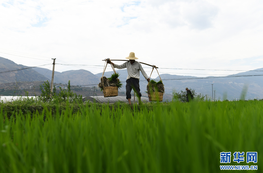【媒体看湄洲】湄洲：兴渔强农共富兴村(图1)