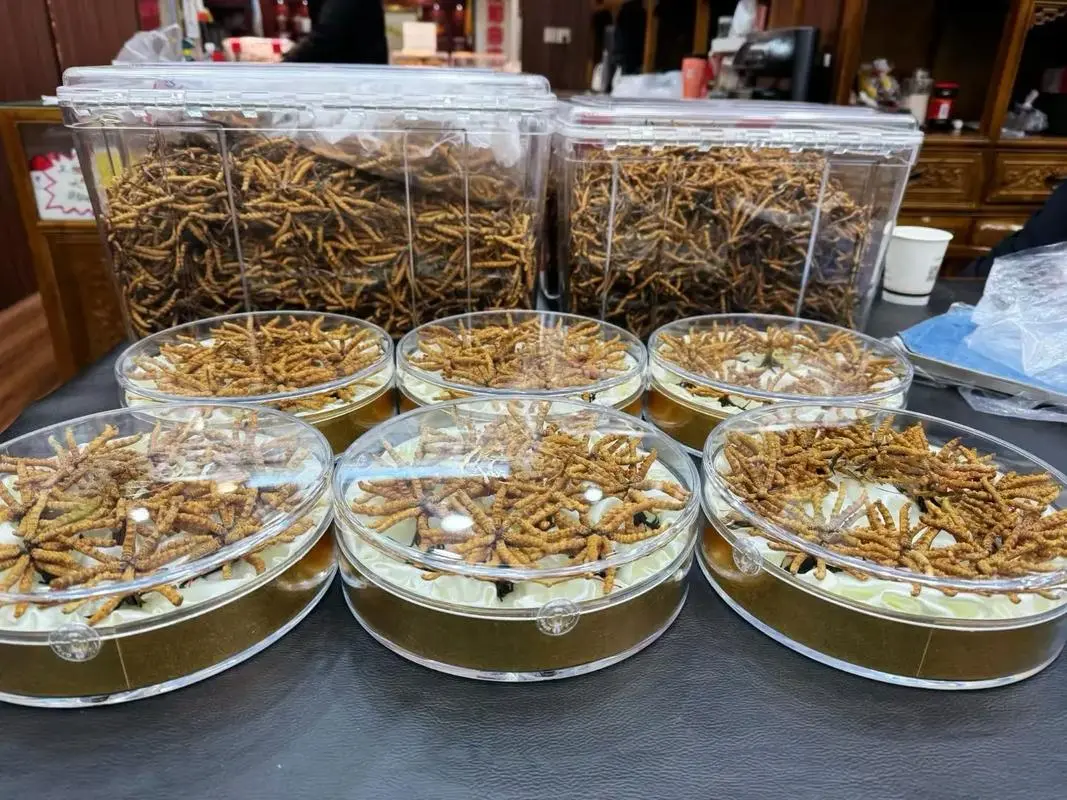 2026北京虫草回收服务商综合评估与选择指南(图3)