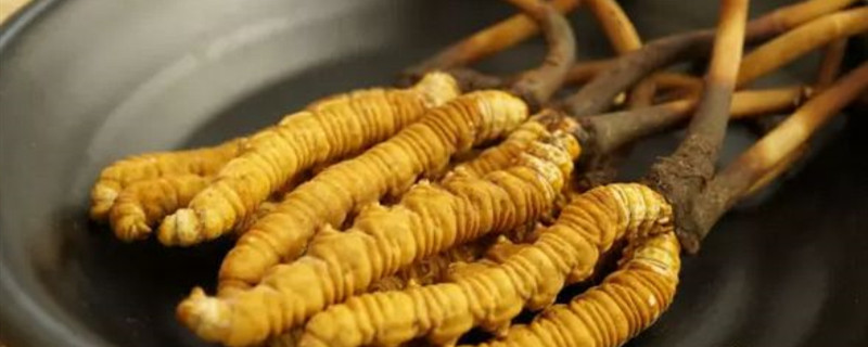 智能大棚温度控制系统方案(图1)