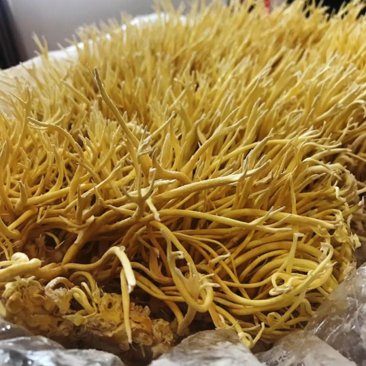 大别山门户好酒迎驾如何实现四大产业齐飞？(图1)