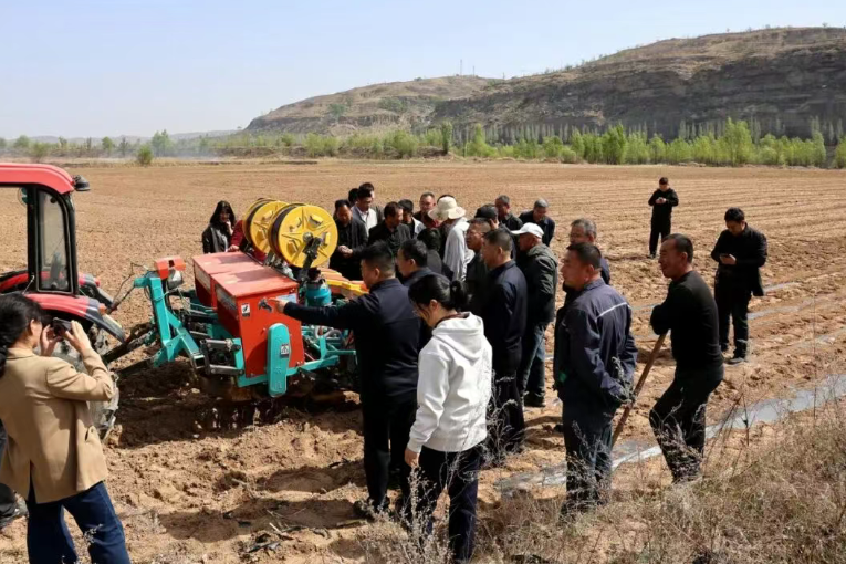 书写春天的代码：府谷县订单玉米播种忙(图2)