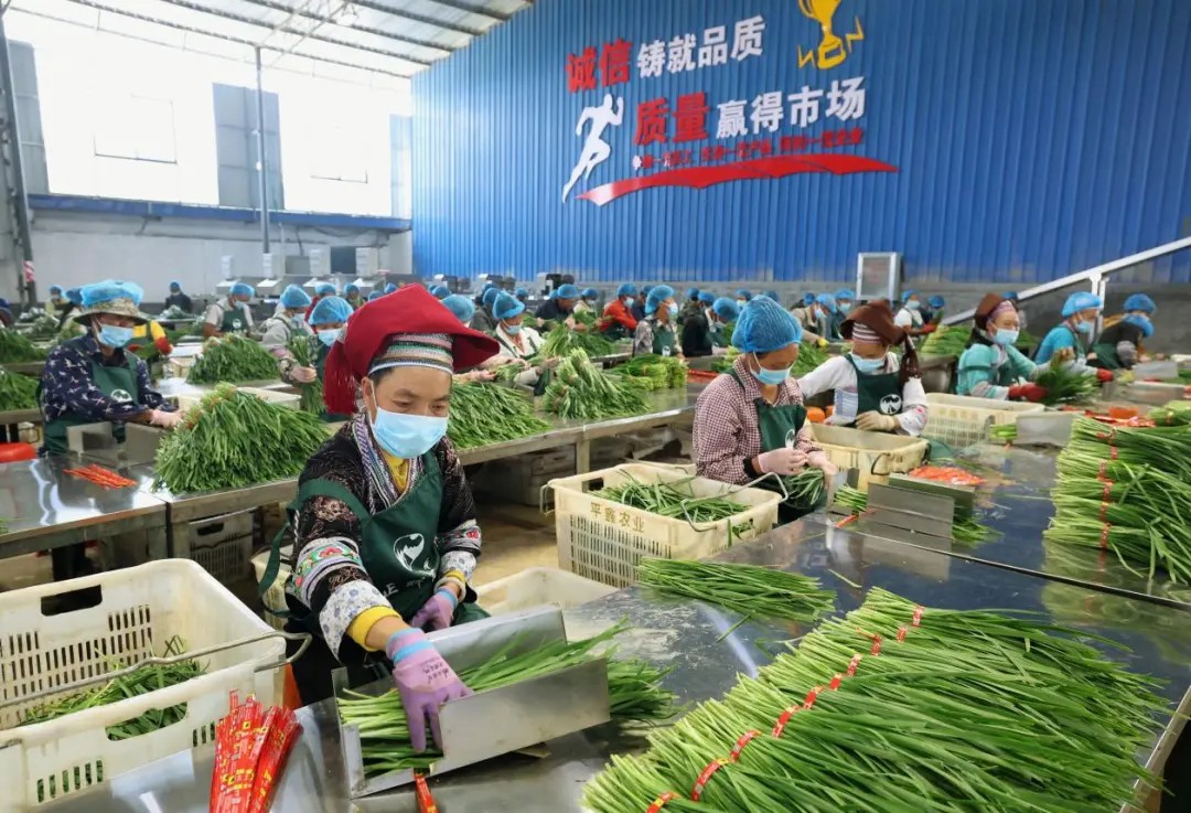 云南省委书记：农民增收始终是第一位的任务_新华网(图2)