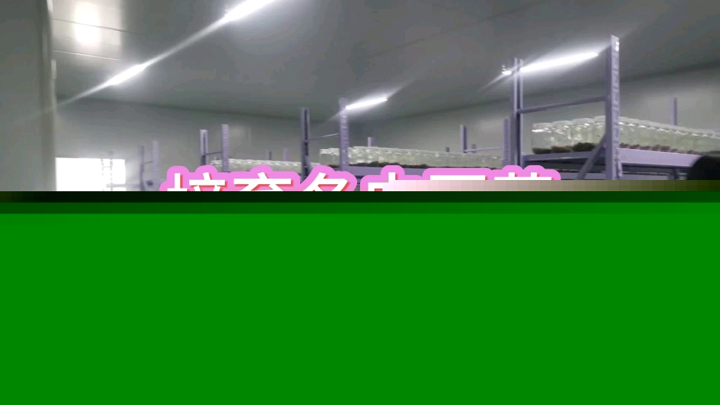 州政府工作组督导调研社会治安及应急防控体系建设“双提”工作(图1)