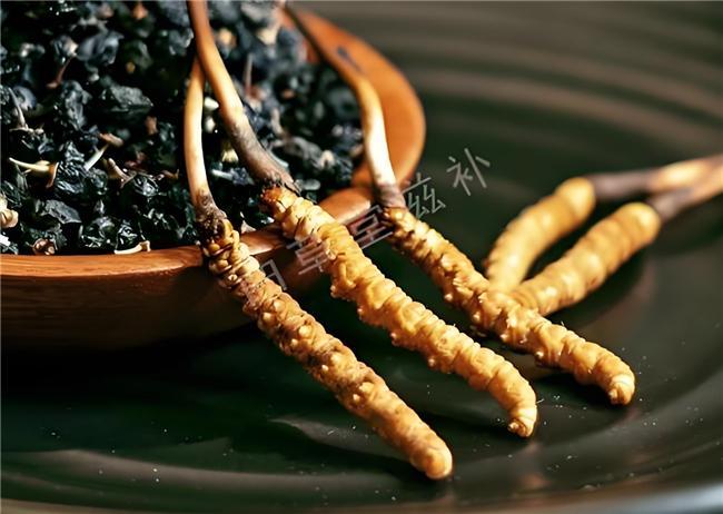 谁才是真正的免疫力之王！冬虫夏草什么品牌含量高？(图1)