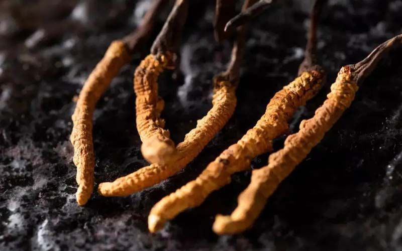 第十六届中国国际健康产品展览会(图1)