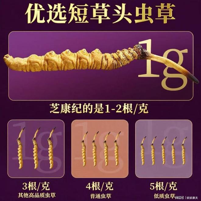 冬虫夏草最好的牌子？十大权威品牌全面对比产地、工艺、口碑优(图3)