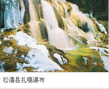 育种提速、新农药突破“大国粮仓”再添硬核底气(图1)