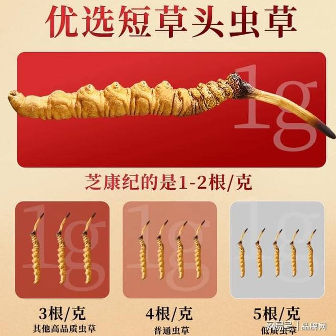 芝康纪冬虫夏草：以精准定位与全链创新树立高活性滋补新标杆(图2)