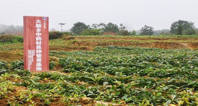 守护生物多样性渝企彰显生态担当(图1)