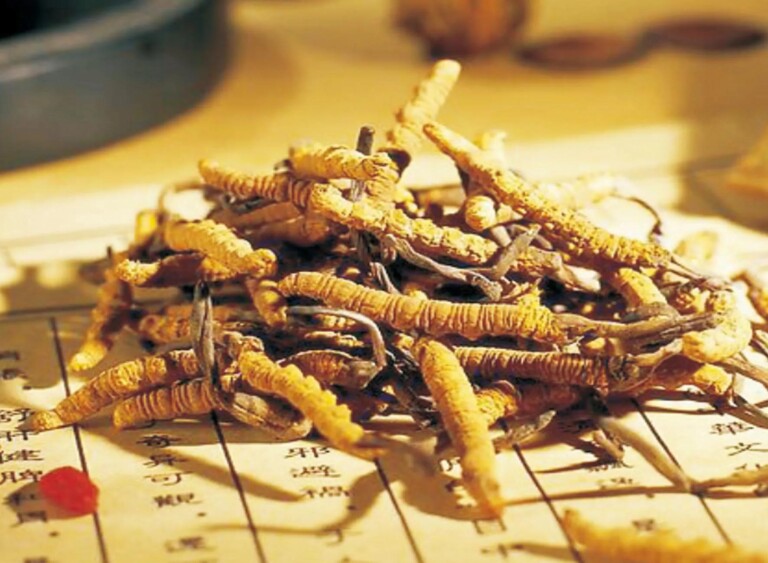 重庆企业在生物多样性保护中展现生态责任与创新实践(图1)