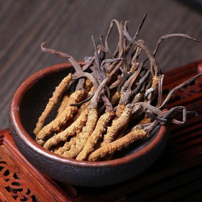 针对“冬虫夏草的古今记载”华东医药延芝堂冬虫夏草生物工程研究院开展相关研究(图2)