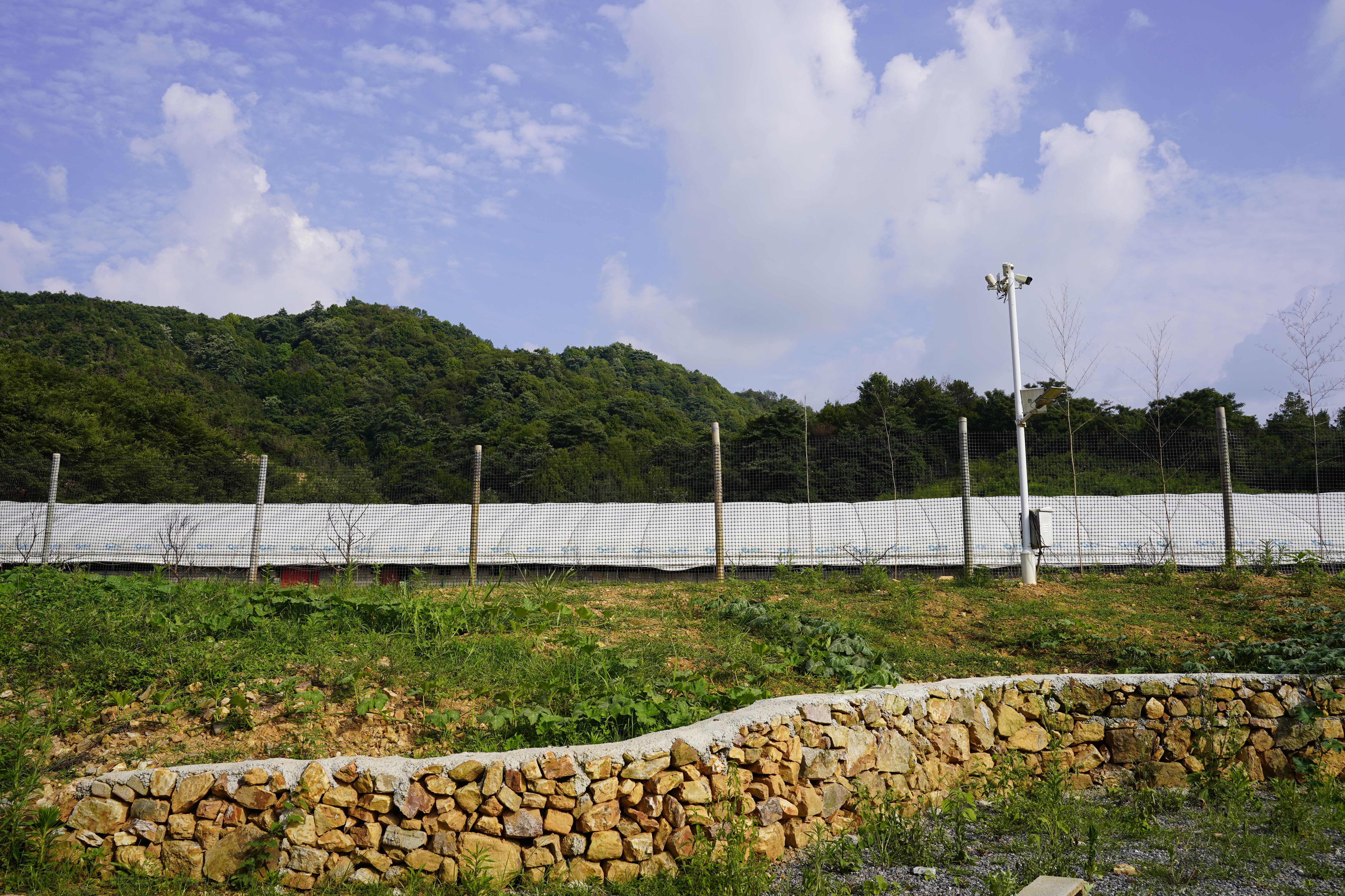 2026年近期线上笨鸡蛋土特产商家产地直供模式深度解析(图1)