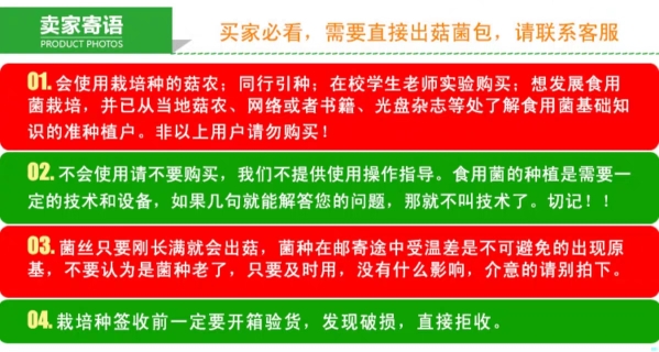 美丽中国石家庄行丨虫鸣伴耕作生态富农家——石家庄市鹿泉区农场种出“放心好菜”(图1)