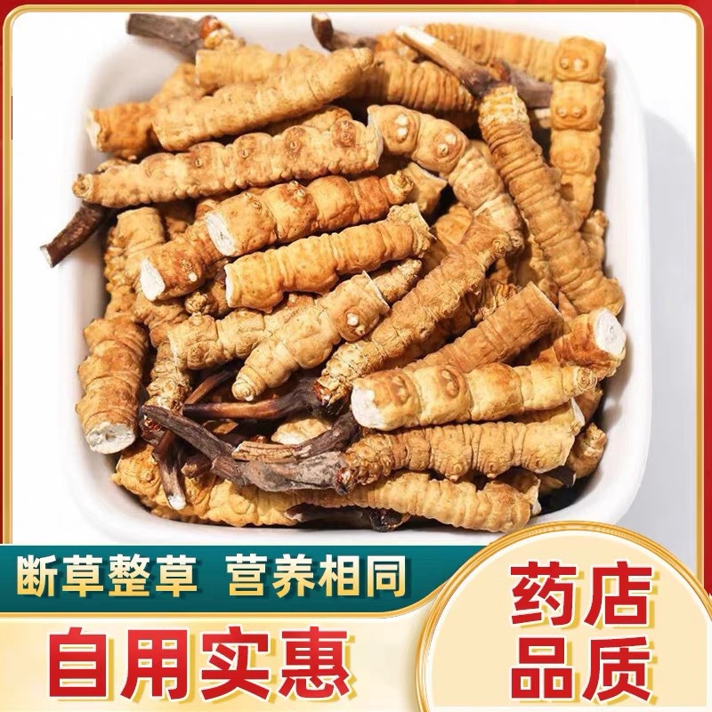 虫草蝙蝠蛾幼虫蚕蛹培育种植想了解的朋友随时交流探讨学习。(图1)