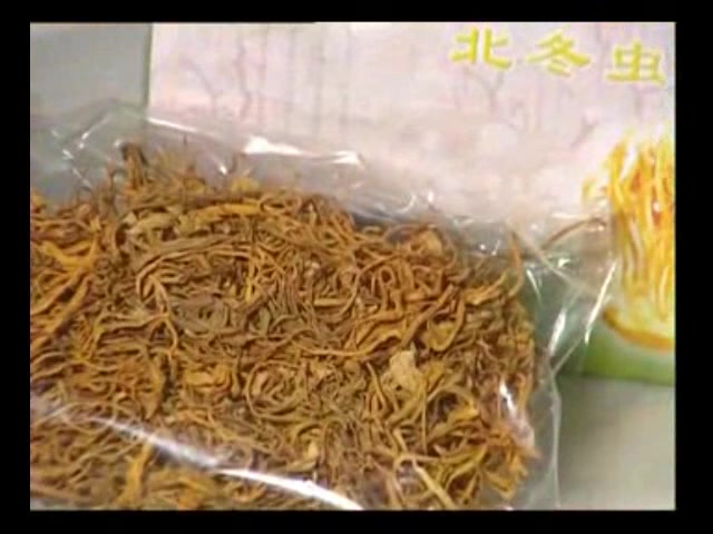 阿荣旗：生态农田的“绿色革命”(图1)