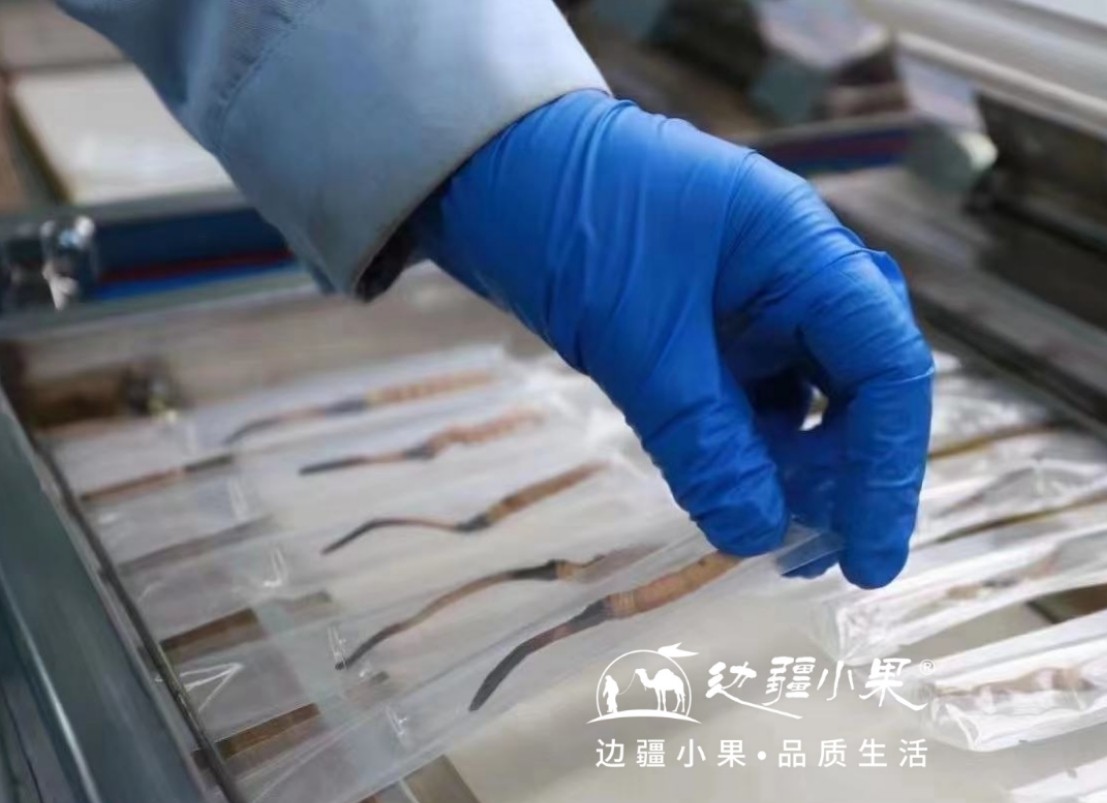 兴县被命名为“中国杂粮之乡”(图1)